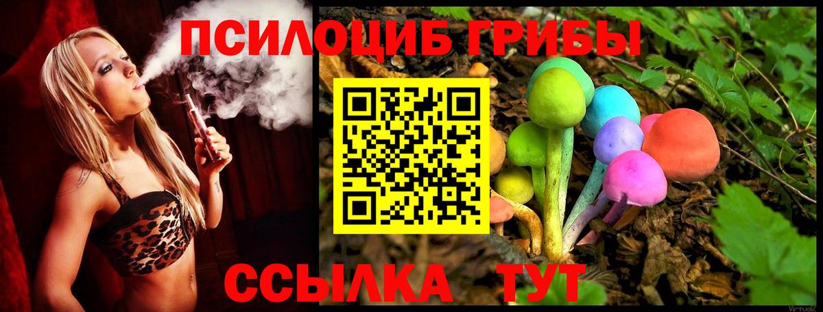 Псилоцибиновые грибы мухоморы Томск