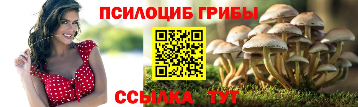 Томск  Галлюциногенные грибы ЛСД  Вход с VPN 